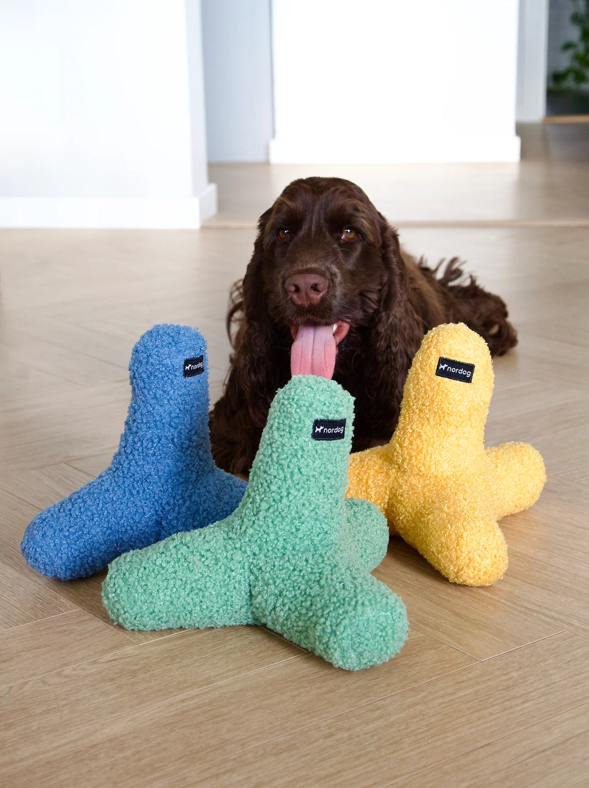 Nordog koiran pehmolelu vinkulla – pehmeä design-lelu, vihreä, 17 cm